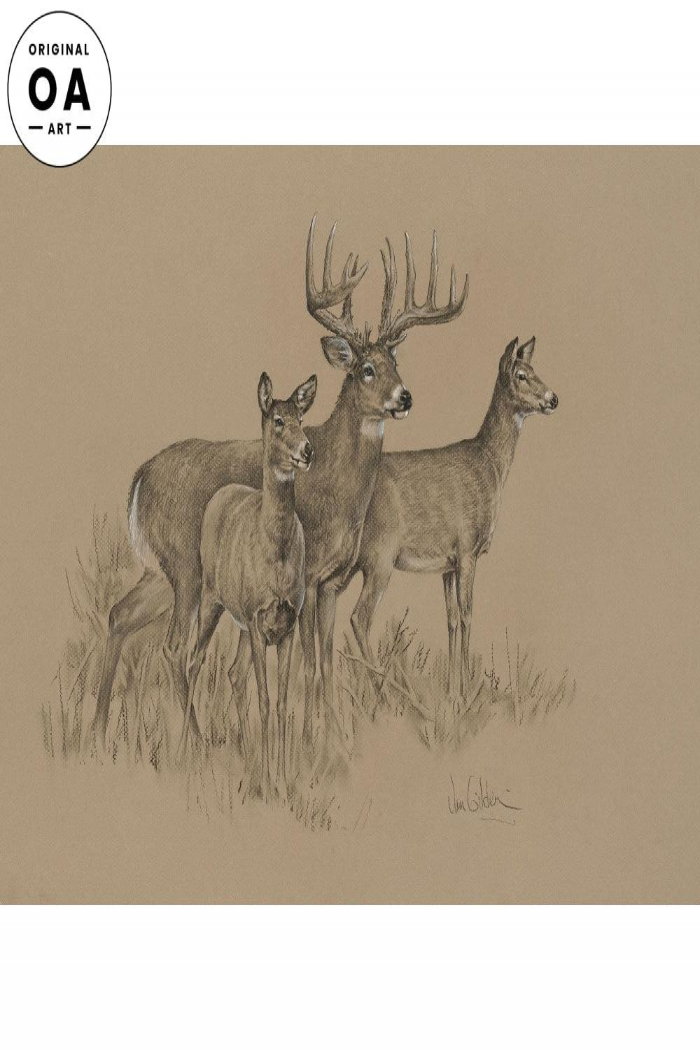 Deer Pencil Original Pencil Drawing – Wild Wings