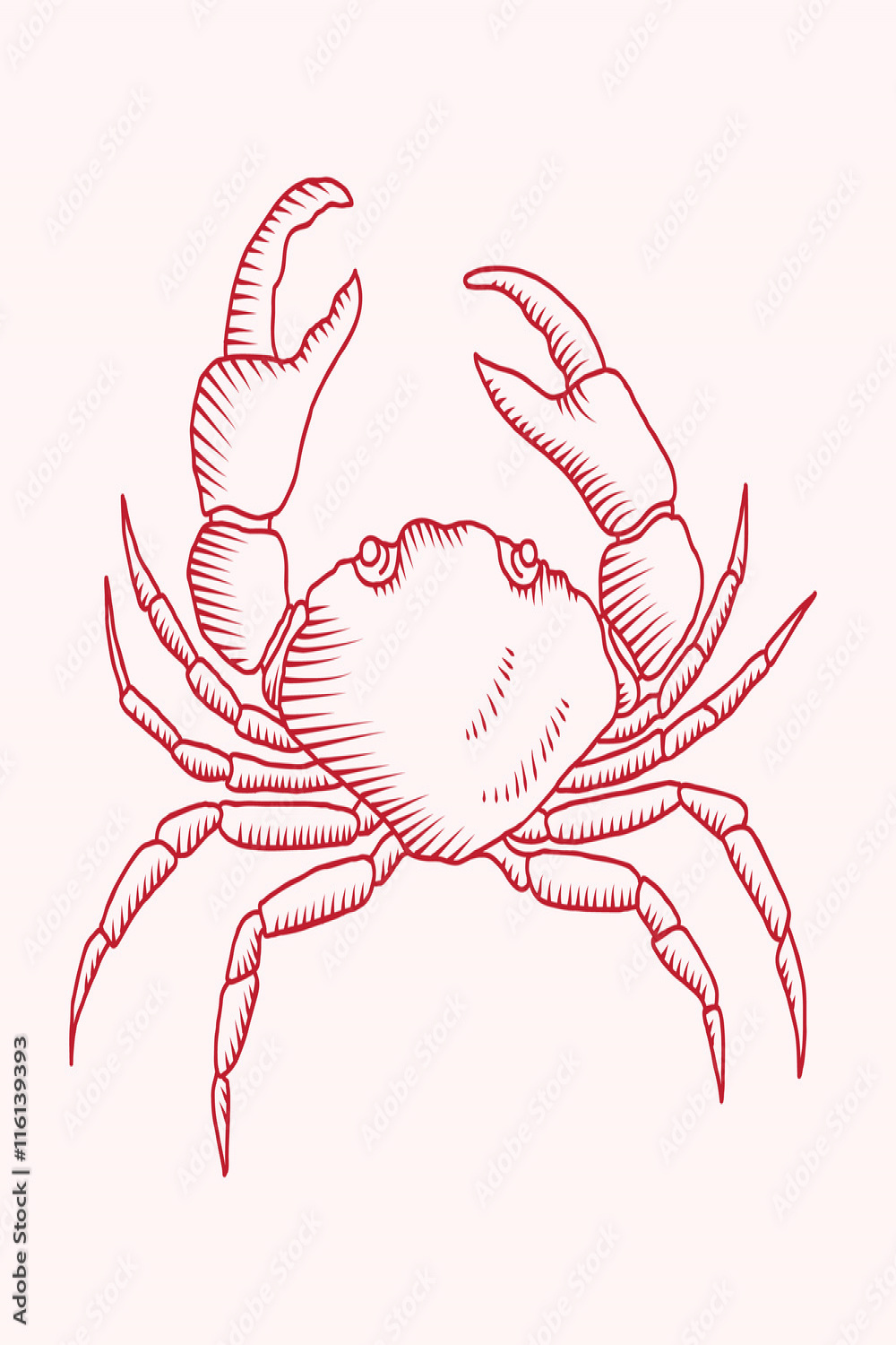 Detailed vector drawing of a sea crab Stock-Vektorgrafik  Adobe Stock