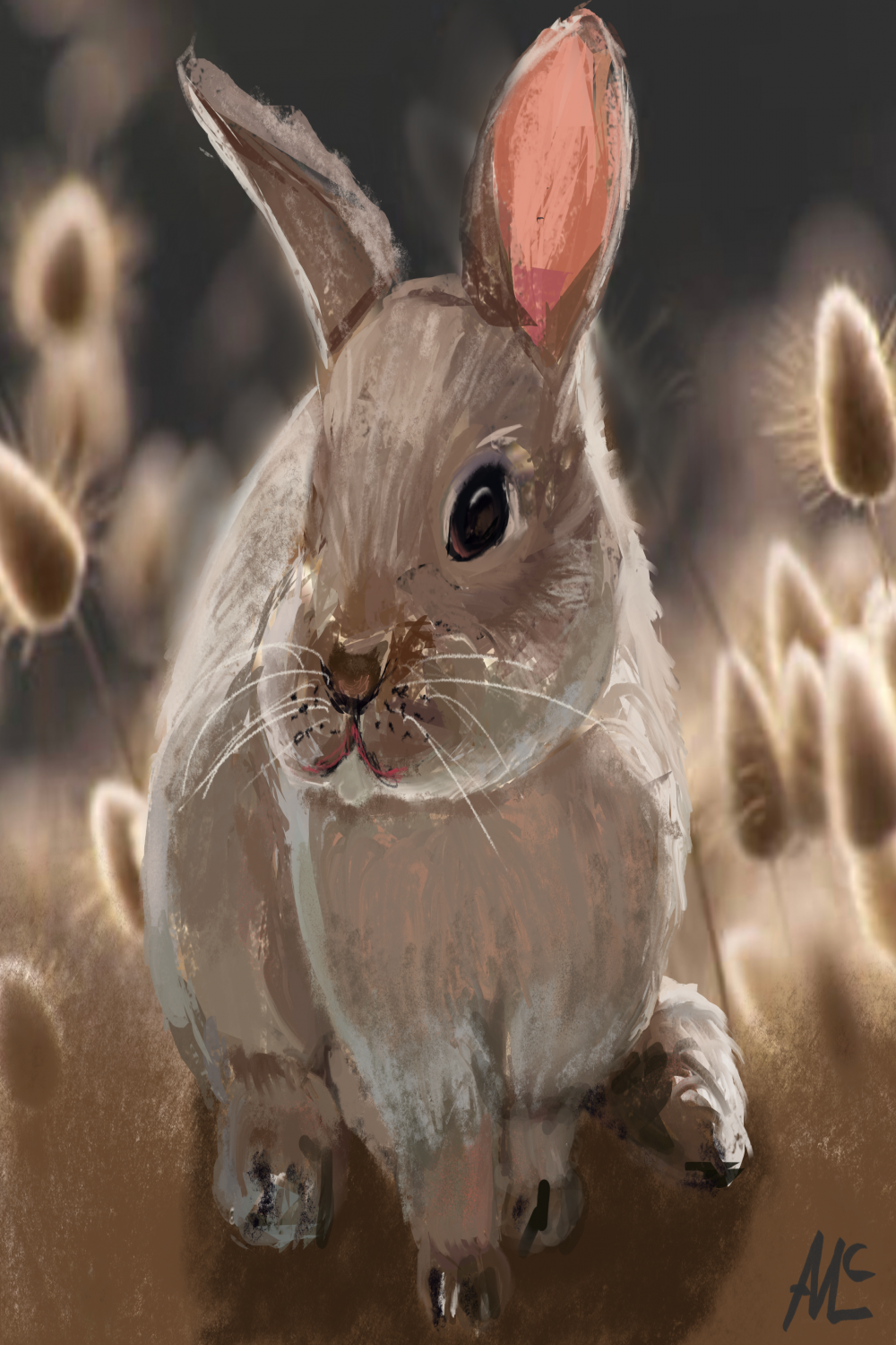 Digital bunny  Hobby Sketcher