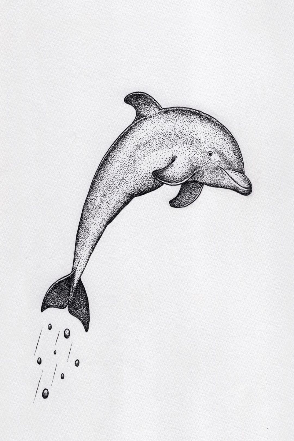 Dolphin  Dolphin drawing, Animal outline, Ocean animals