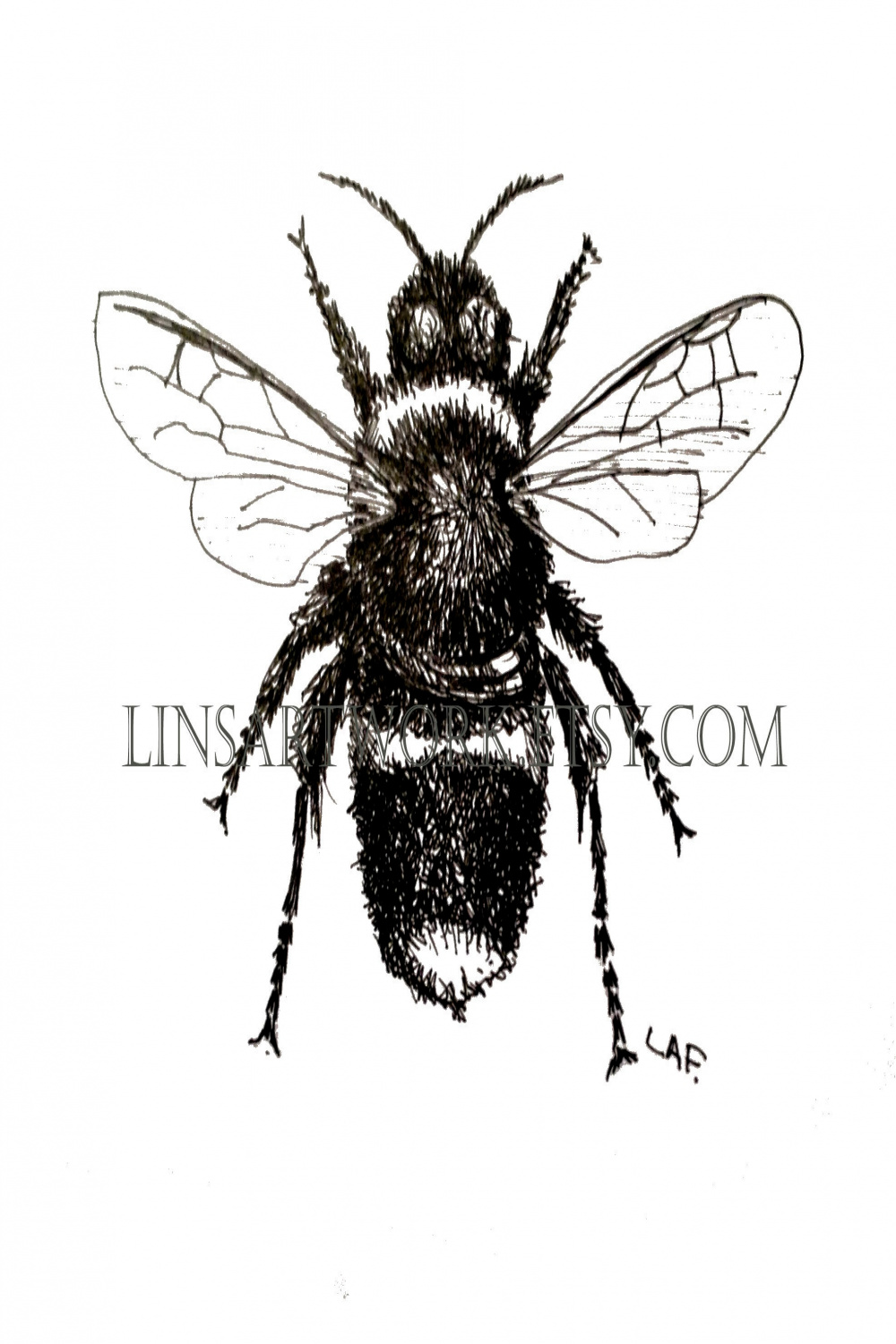 Downloadable Honey Bee Print honey Bee Print Pen and Ink - Etsy