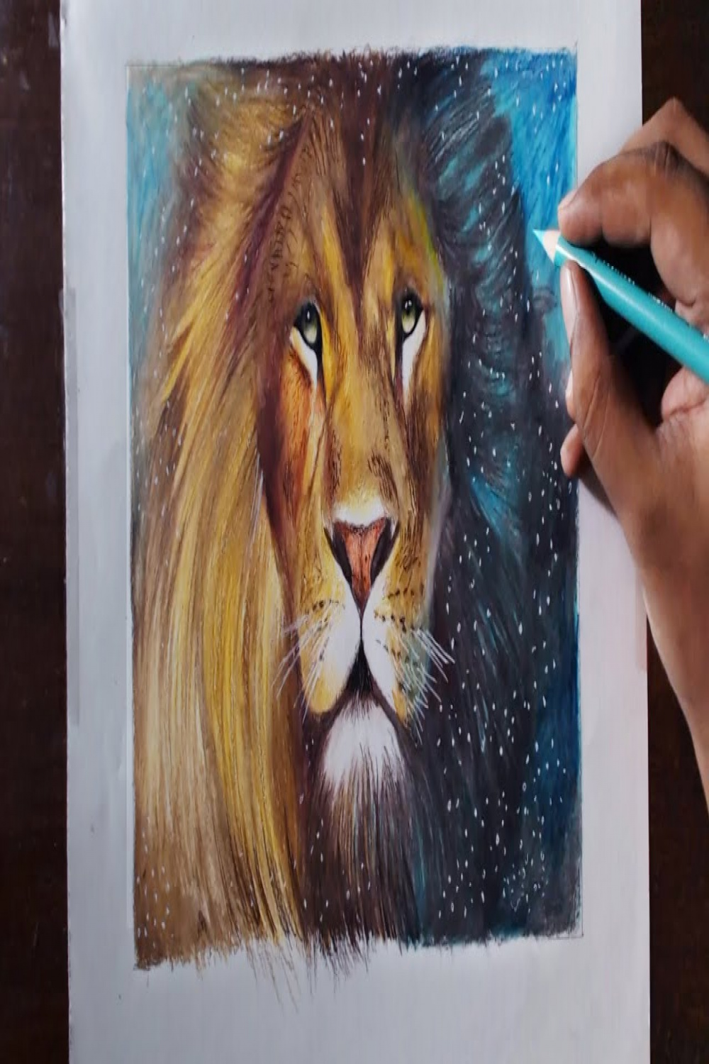 Drawing A Lion (Aslan) - Animal series  - Prismacolor pencils