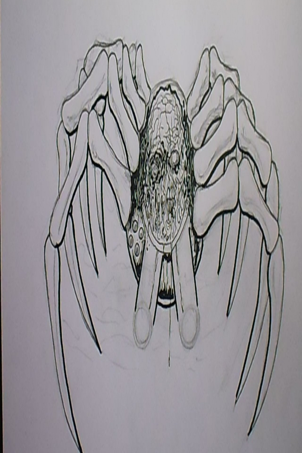 Drawing Mech Spider Creature (th Video!) - YouTube