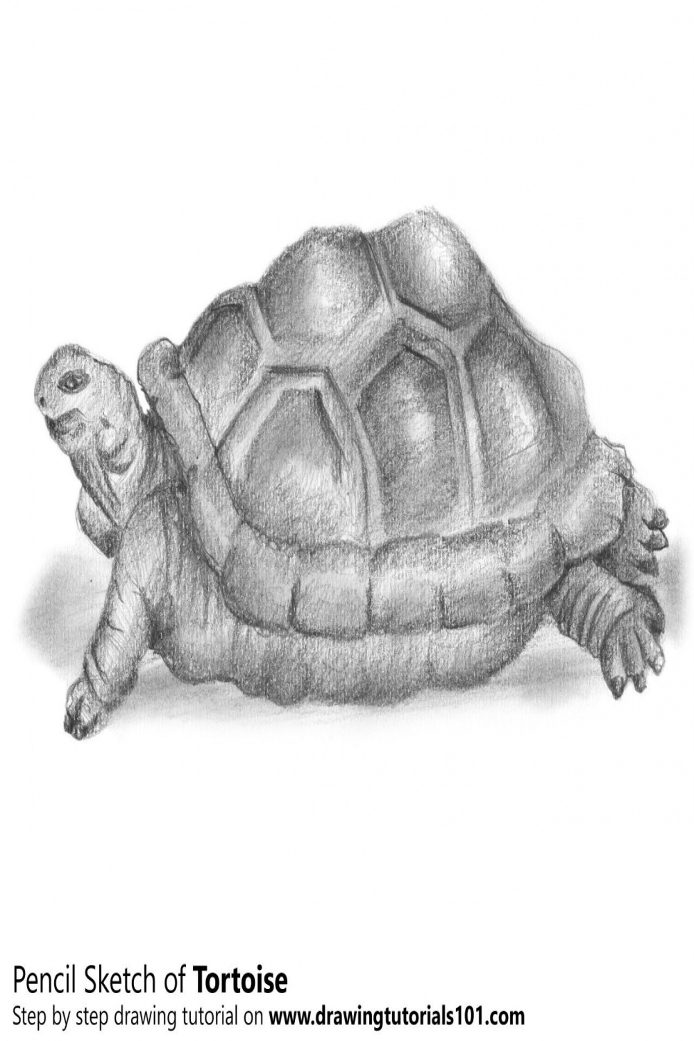 DrawingTutorials
