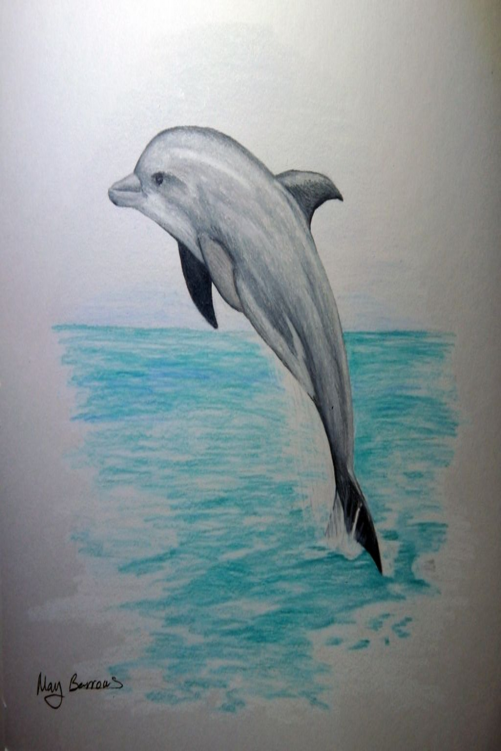 Drawn dolphin pencil sketch #  Dolphin drawing, Dolphin art