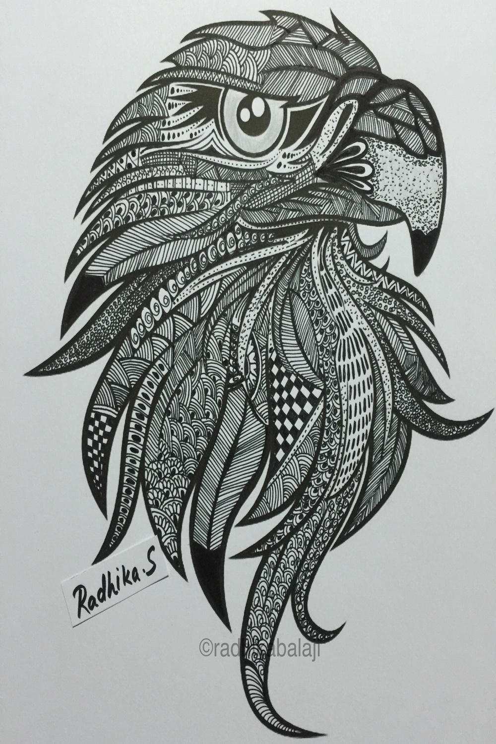Eagle head  Zen doodle art, Zentangle animals art, Hard art
