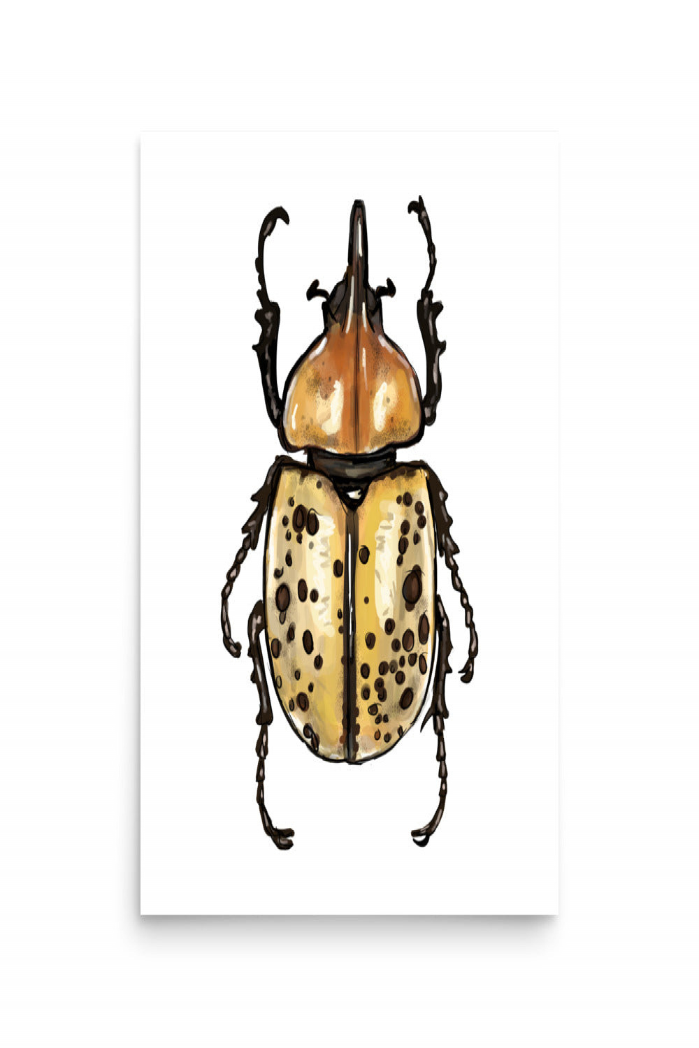Eastern Hercules Beetle Insect Illustration Print