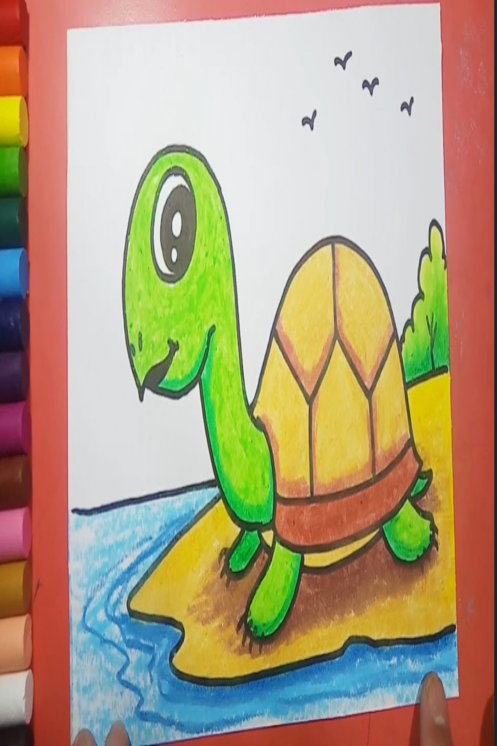 Easy and Simple Tortoise drawing