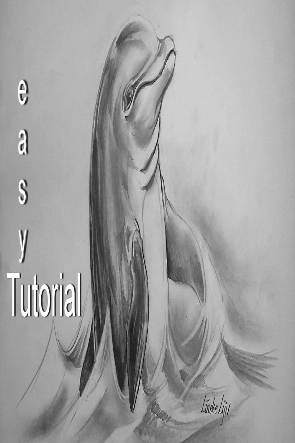 Easy DOLPHIN for beginners Graphite pencil drawing