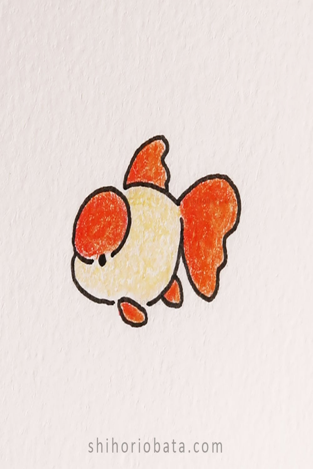Easy Fish Drawing Ideas
