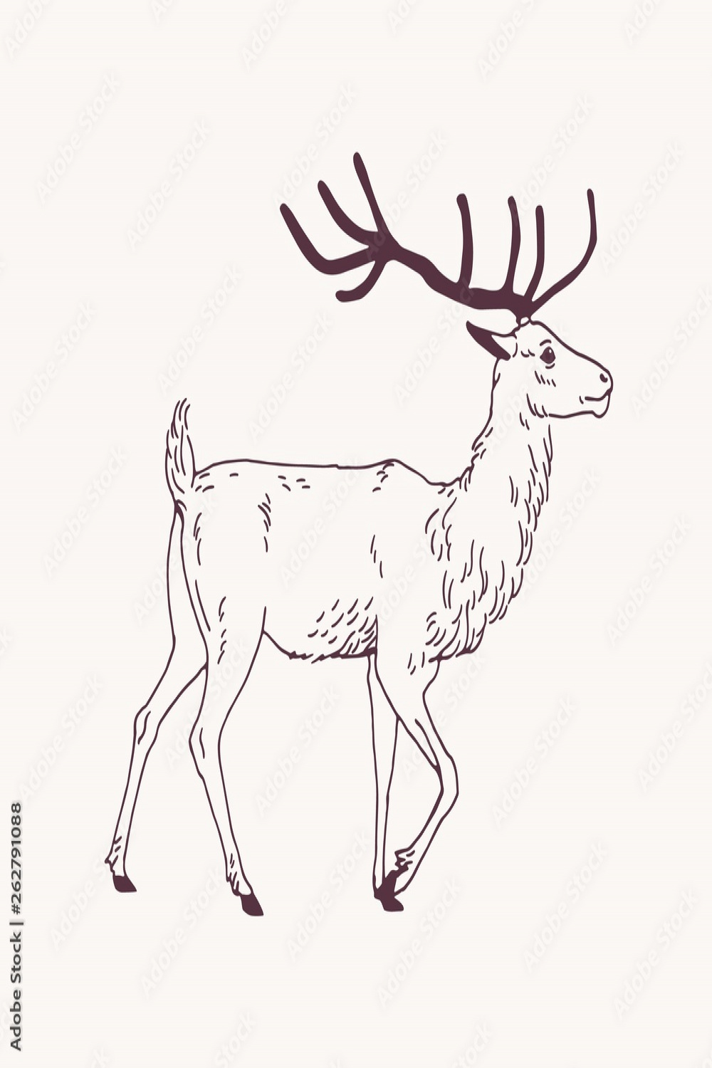 Elegant outline drawing of walking male deer, reindeer or stag