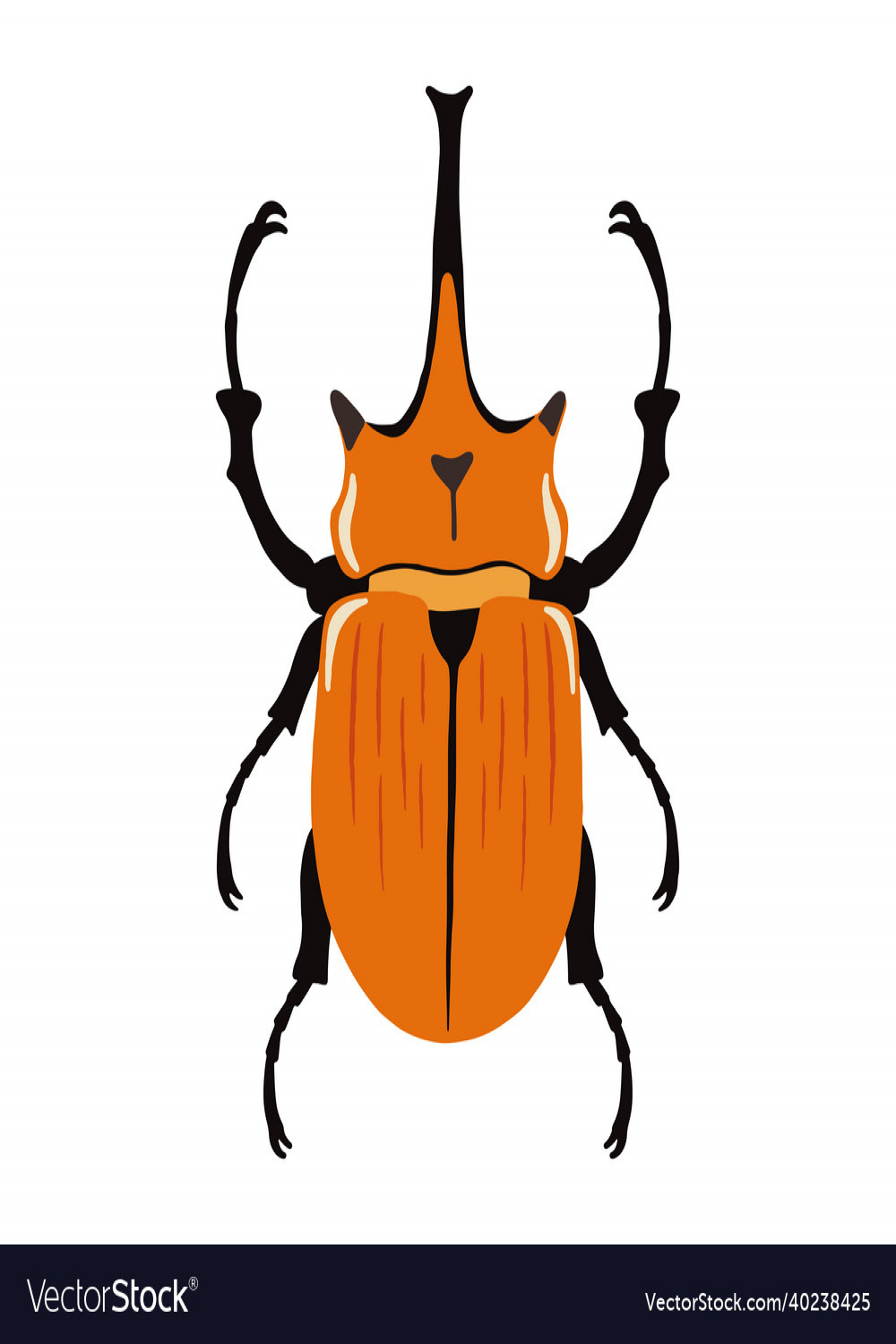Elephant beetle bug drawn by hand vintage Vector Image