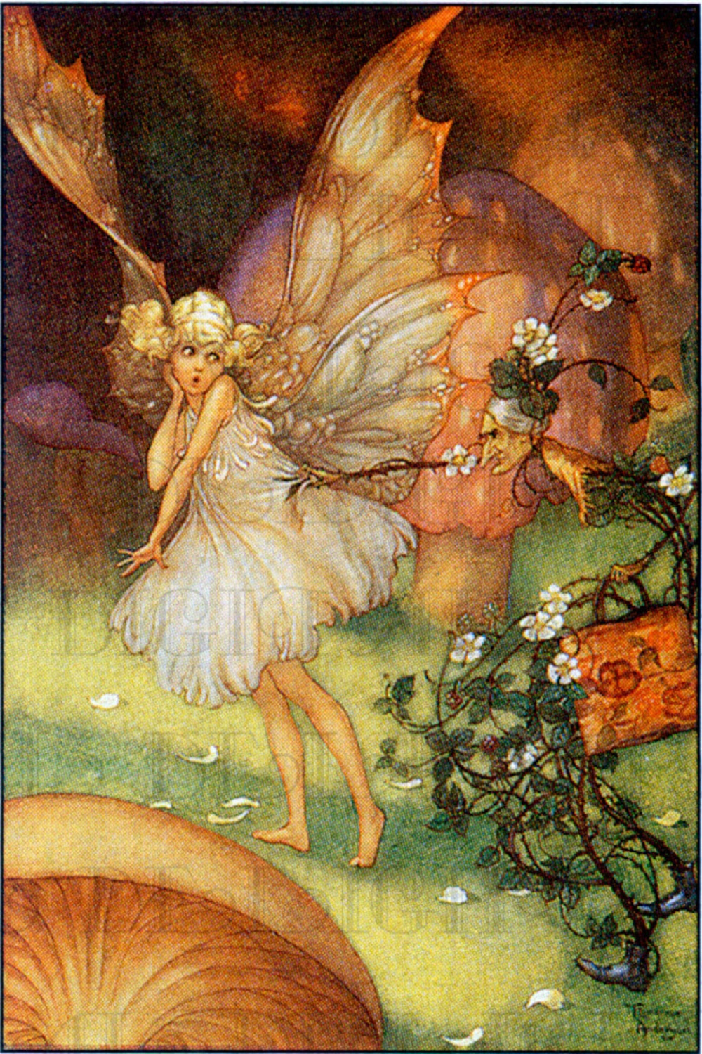 Fee gefangen durch alte Rebe festhalten. Digitale Vintage  Märchen-Illustration. Vintage Fairy digitaler Download. Vintage  Fairy-Digitaldruck - Etsy