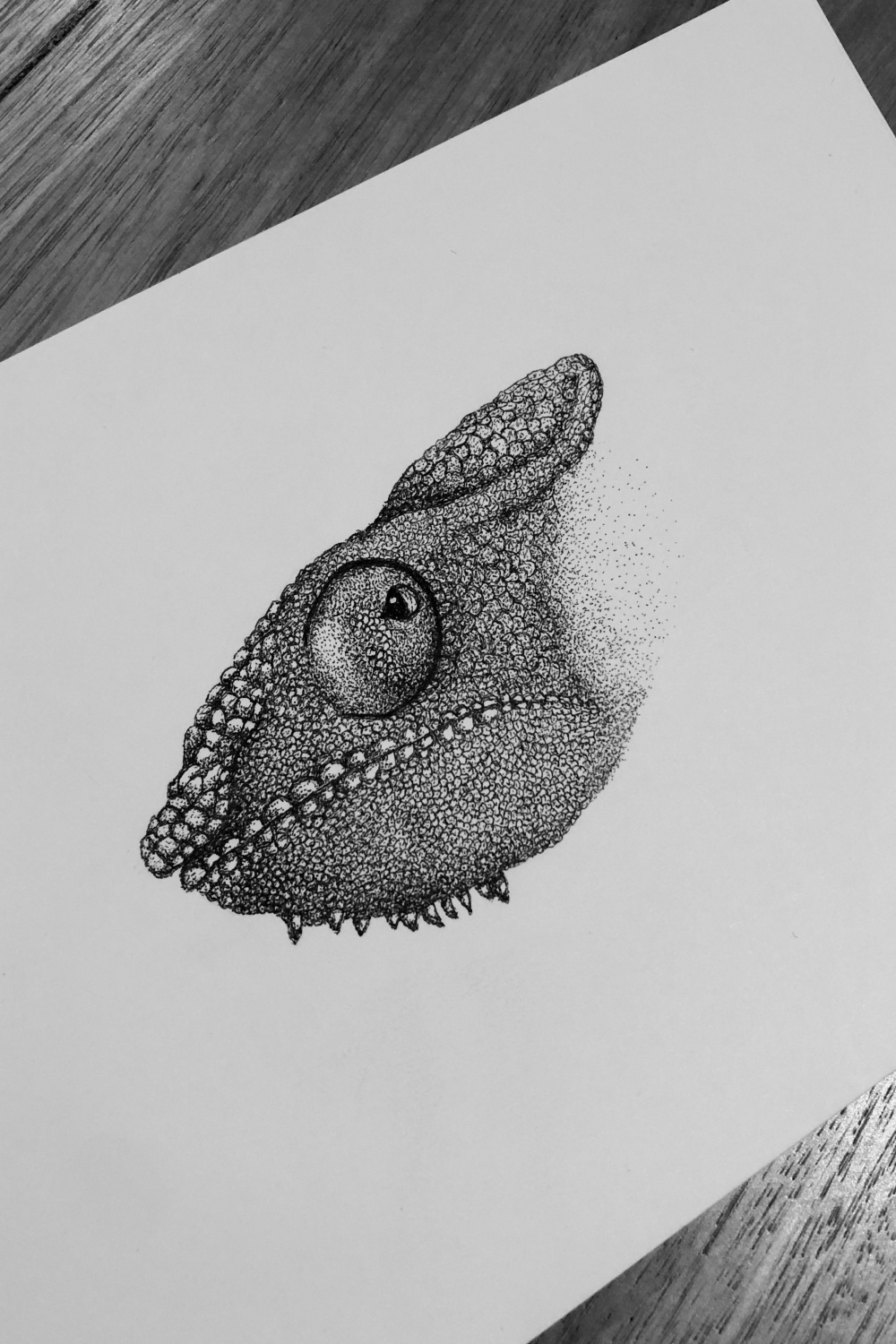 Finished off this chameleon head
