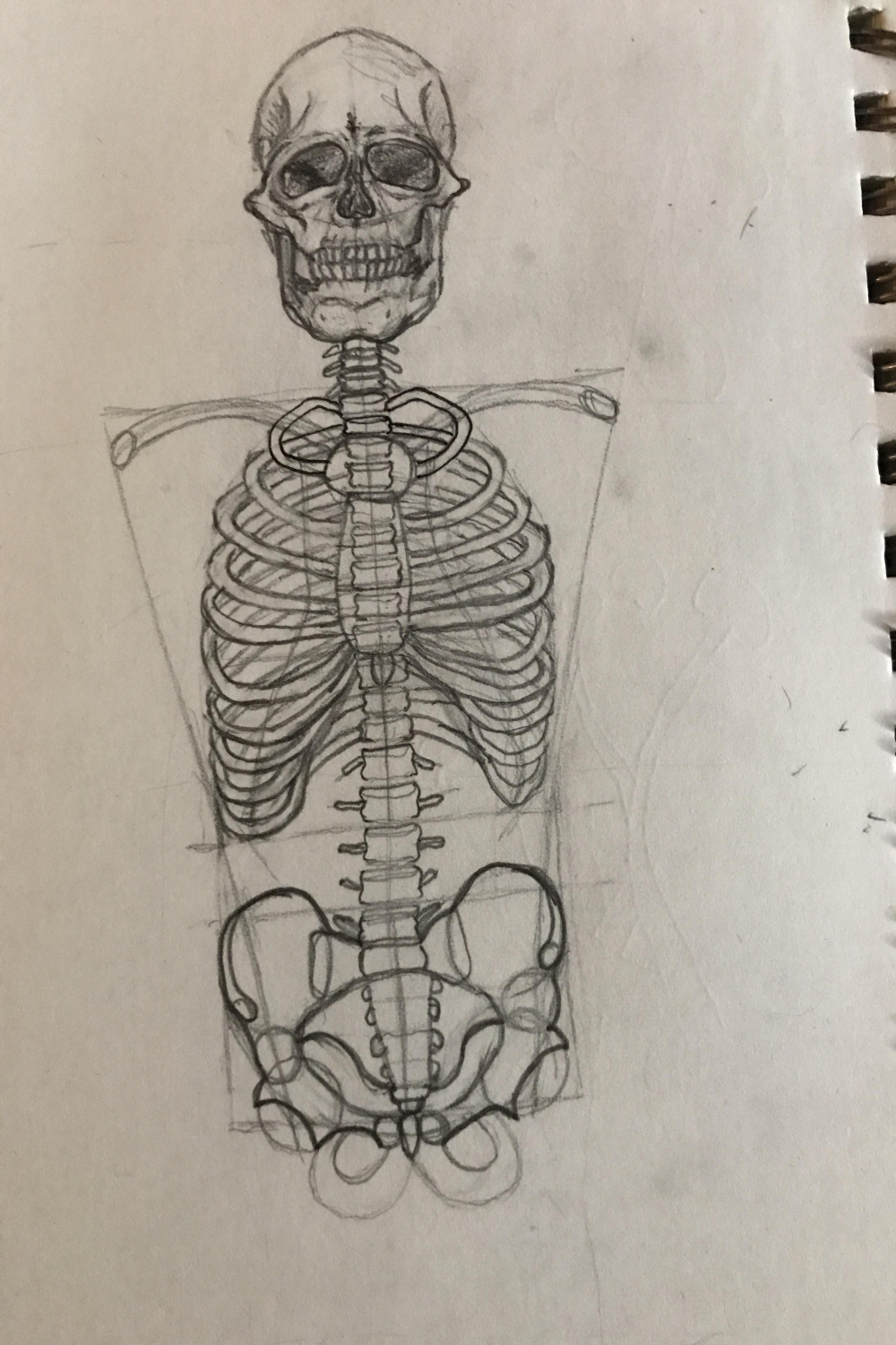 First time drawing realistic skeleton, taking me forever : r/drawing
