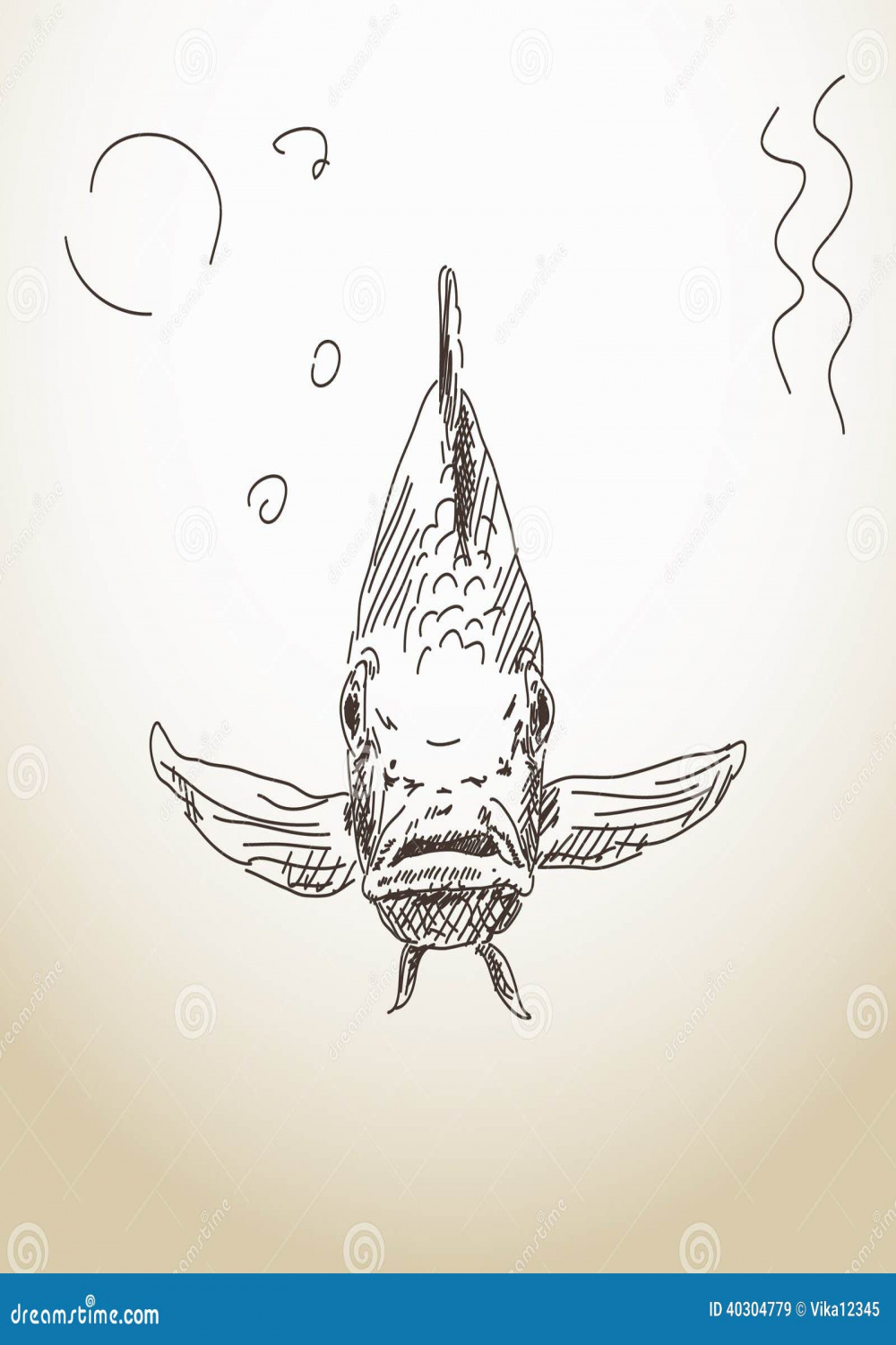 Fish front view stock vector