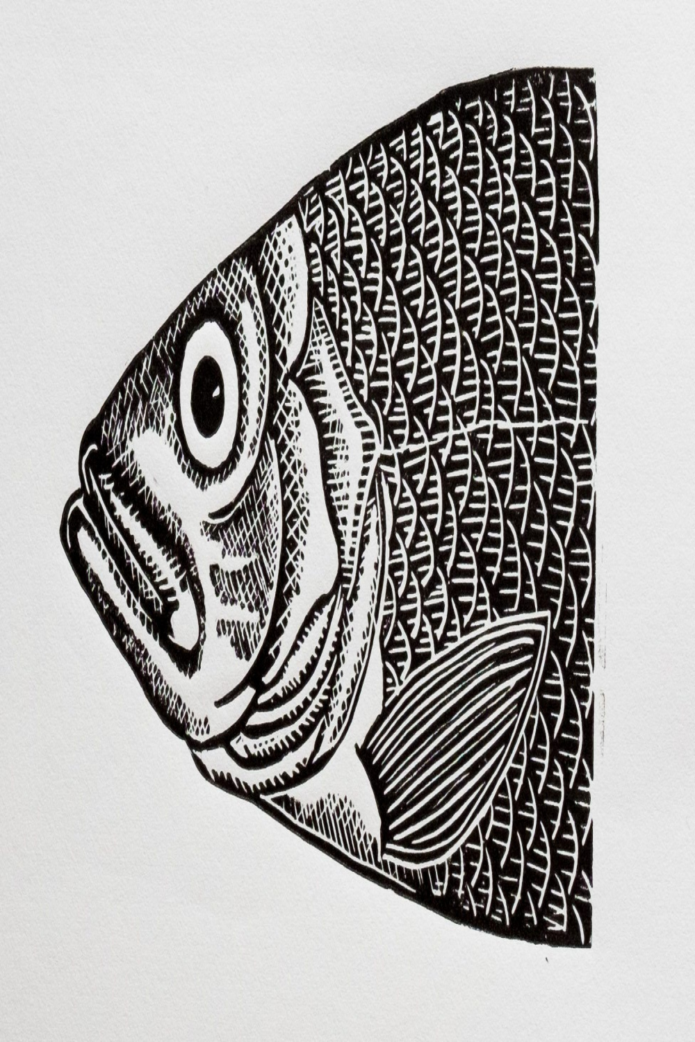 Fish head print  Lino print, Fish illustration, Prints