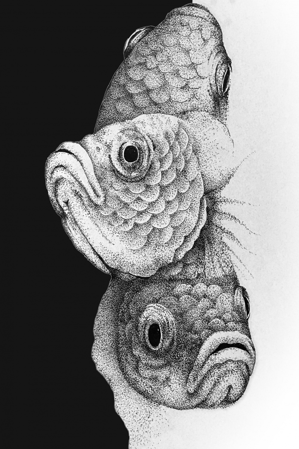 fish headfish heads” ink art : r/drawing