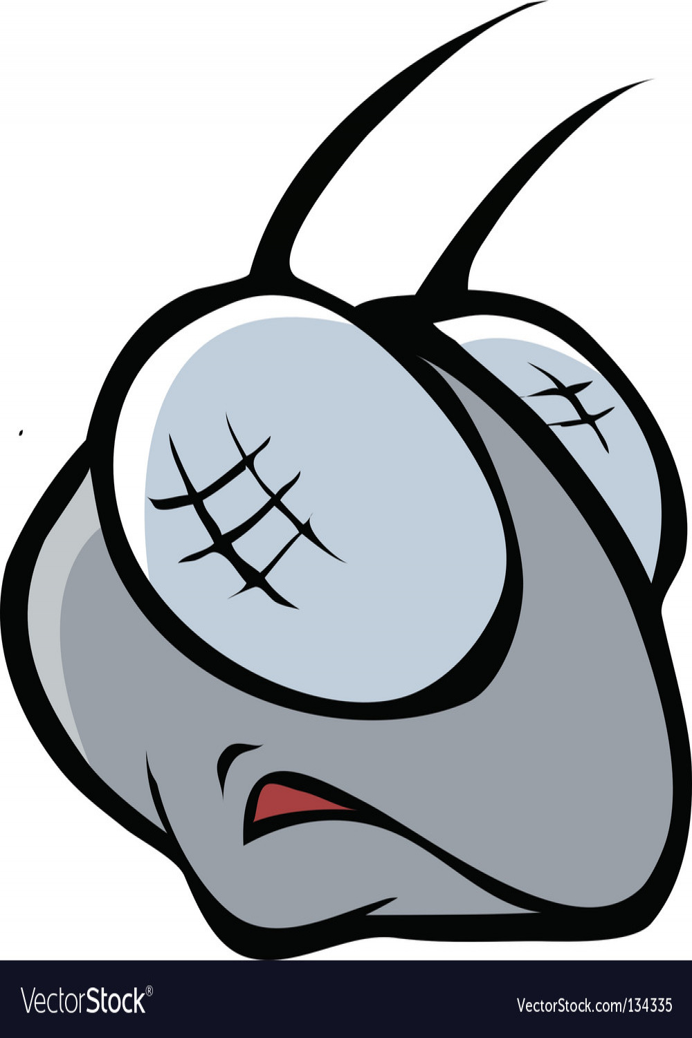 Fly head Royalty Free Vector Image - VectorStock