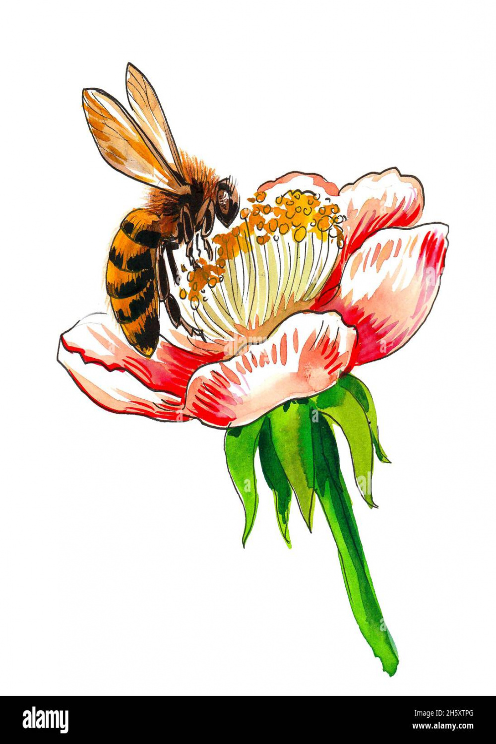Flying bee and blossoming flower