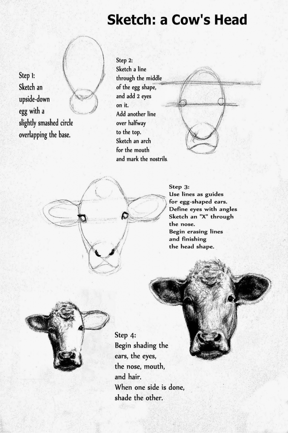 Follow these simple steps to easily sketch a cow