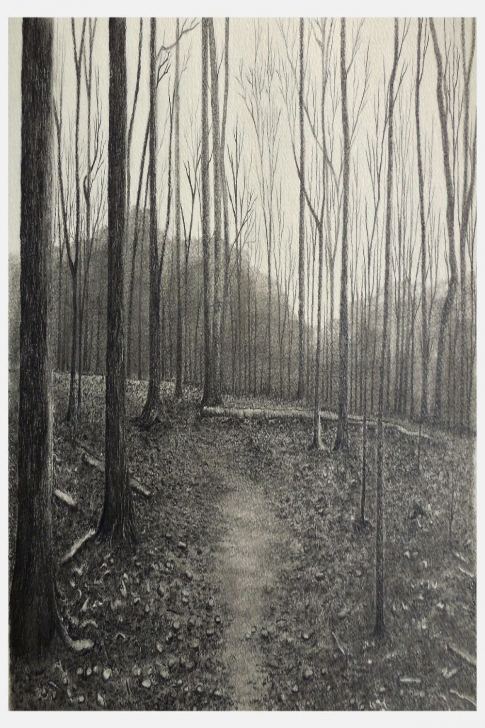 Forest Trail Pencil Drawing Pencil drawing by Shweta Mahajan