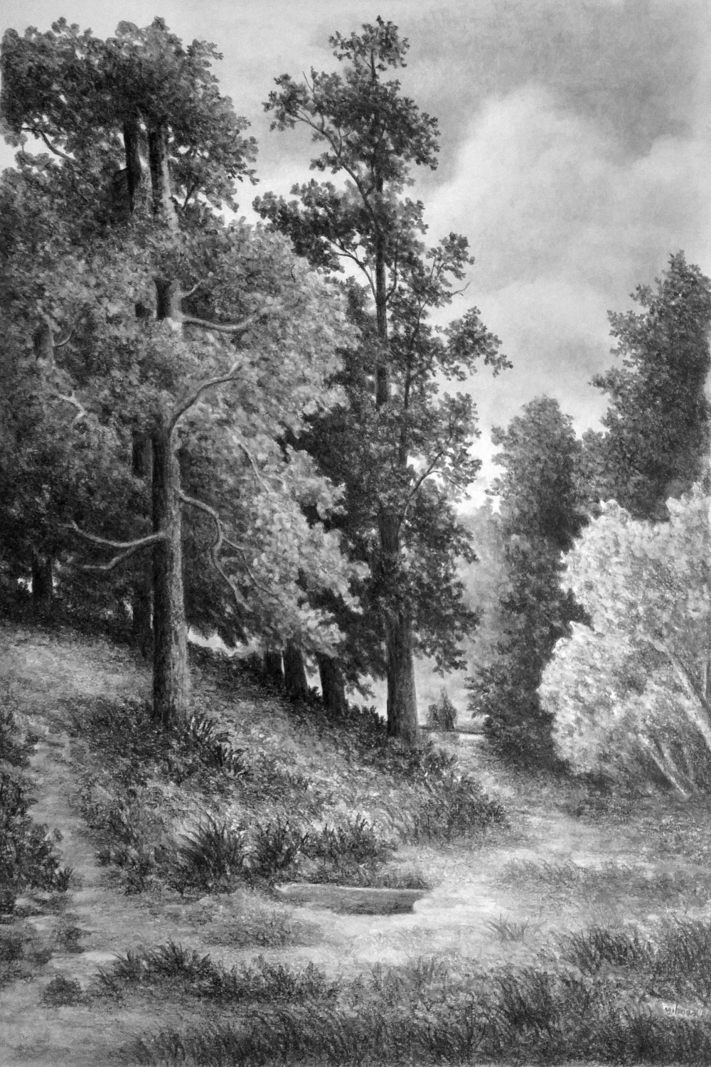 Forest way drawing pencil art x by yilmazgunes on DeviantArt