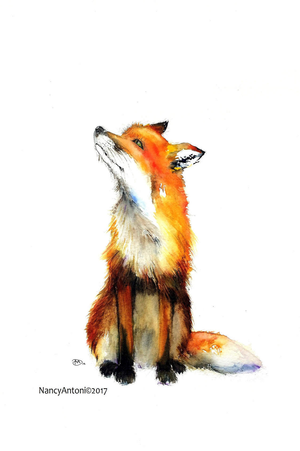 Fox print Looking Up Print of my original Watercolour Painting