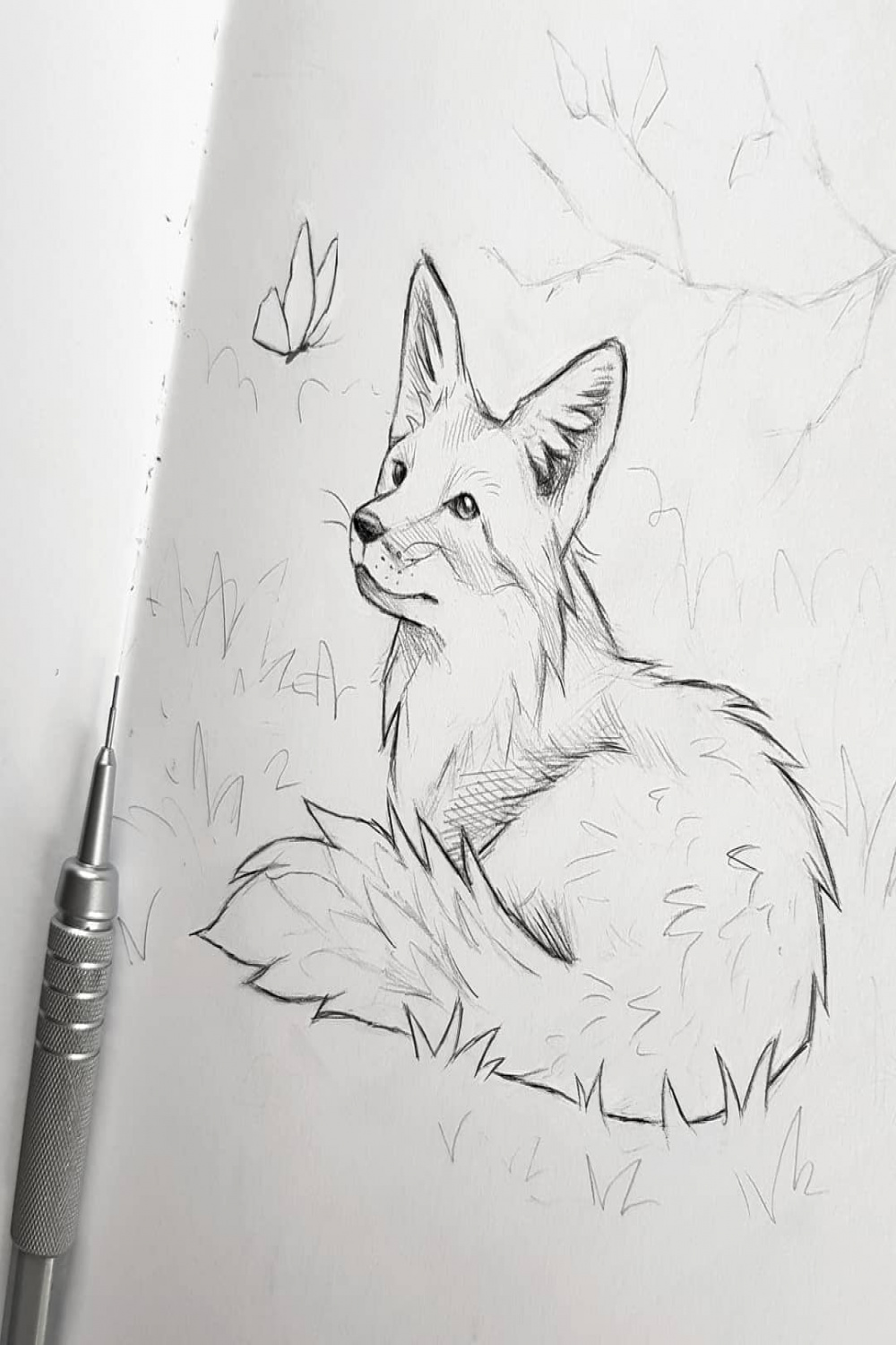 fox sketch by Kleevia on DeviantArt