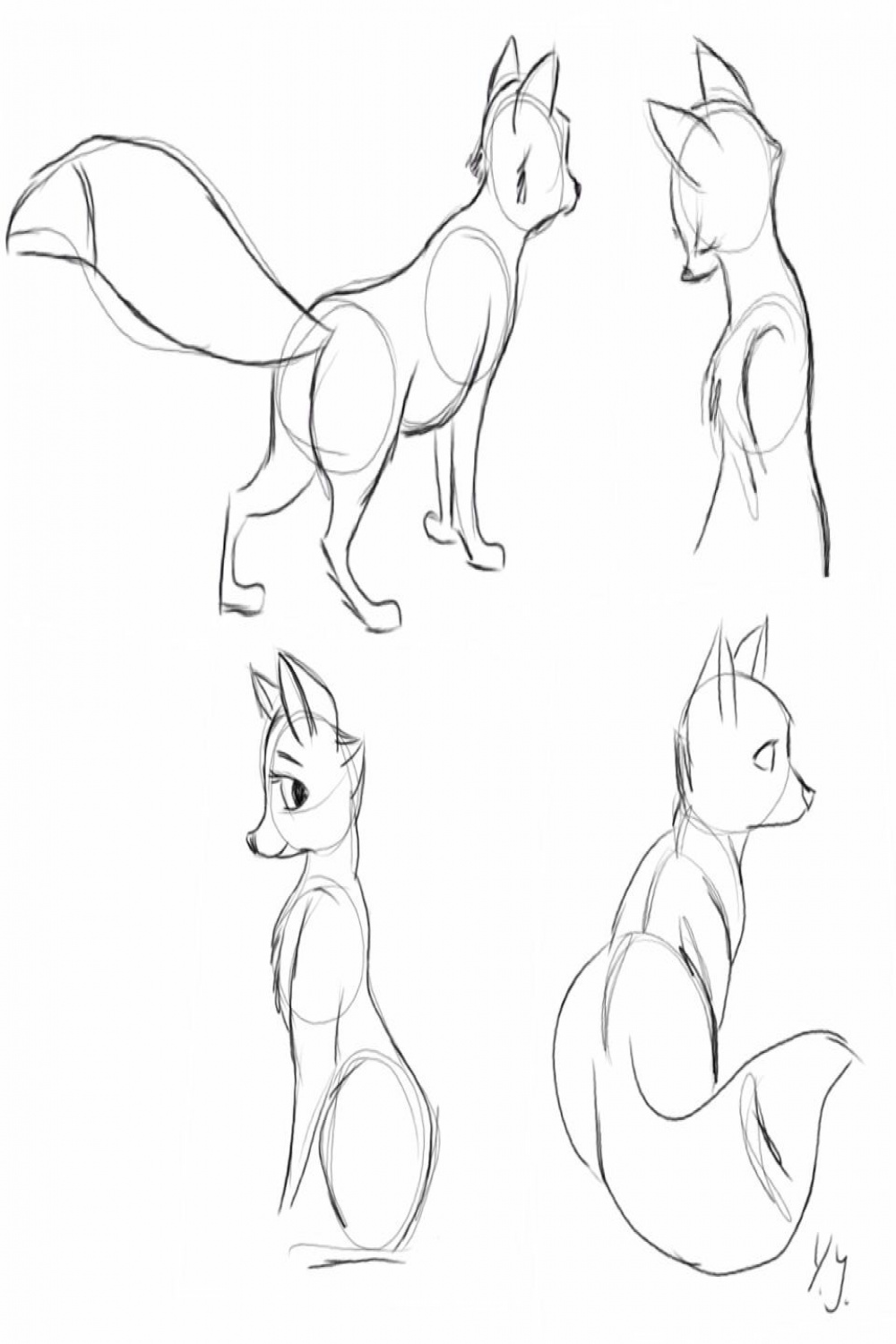 Fox sketches. By Yenthe J