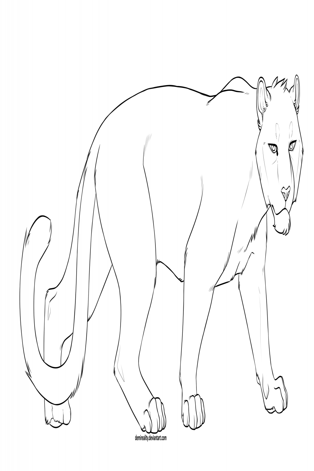Free Tiger Lineart (png+paint update) by DemiReality on DeviantArt