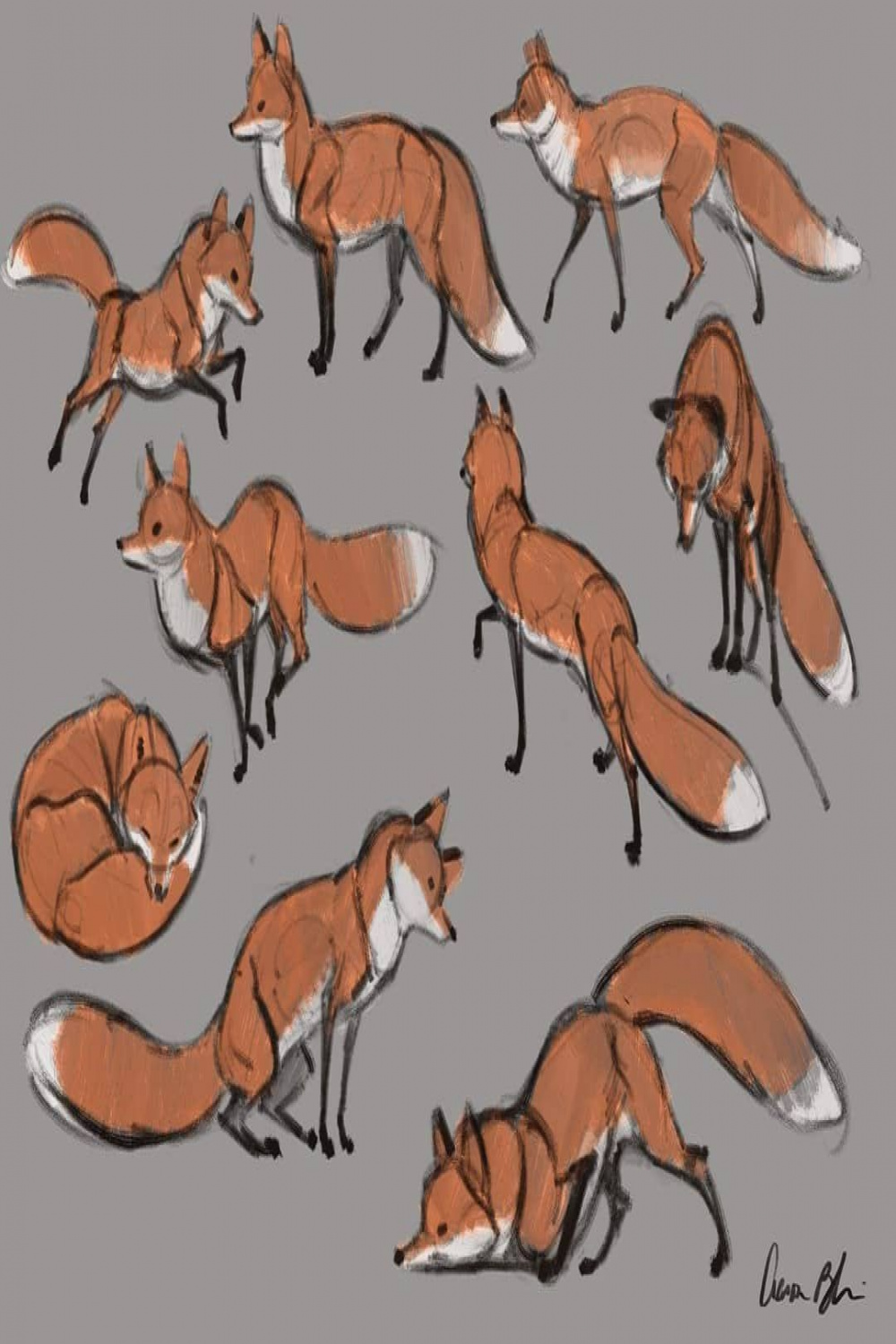 From my lecture on gesture drawing Foxes
