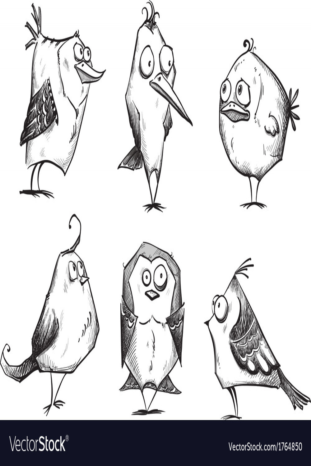 Funny cartoon birds hand drawn Royalty Free Vector Image