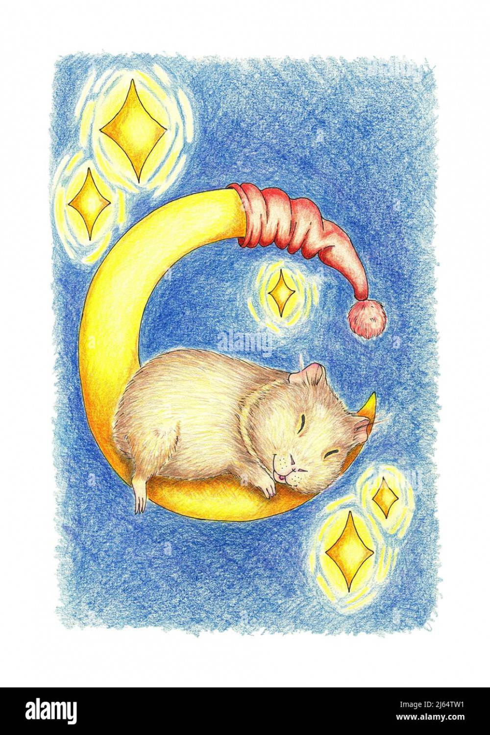 Funny guinea pig sleeping on the moon illustration with colored