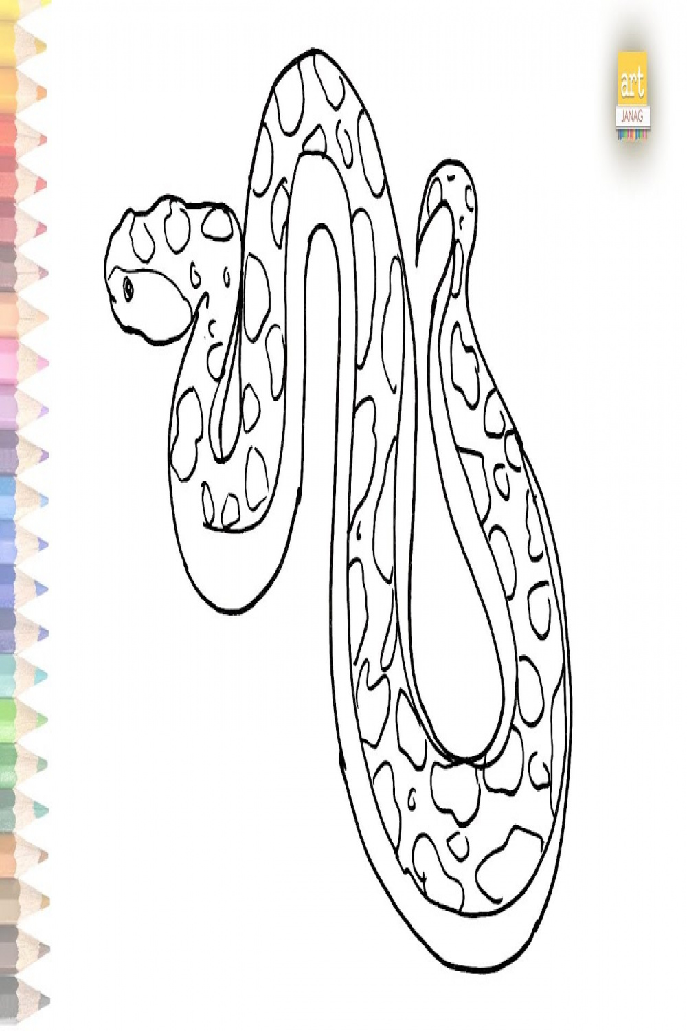 Giant python drawing easy  How to draw A Python step by step simply  Draw  A Snake