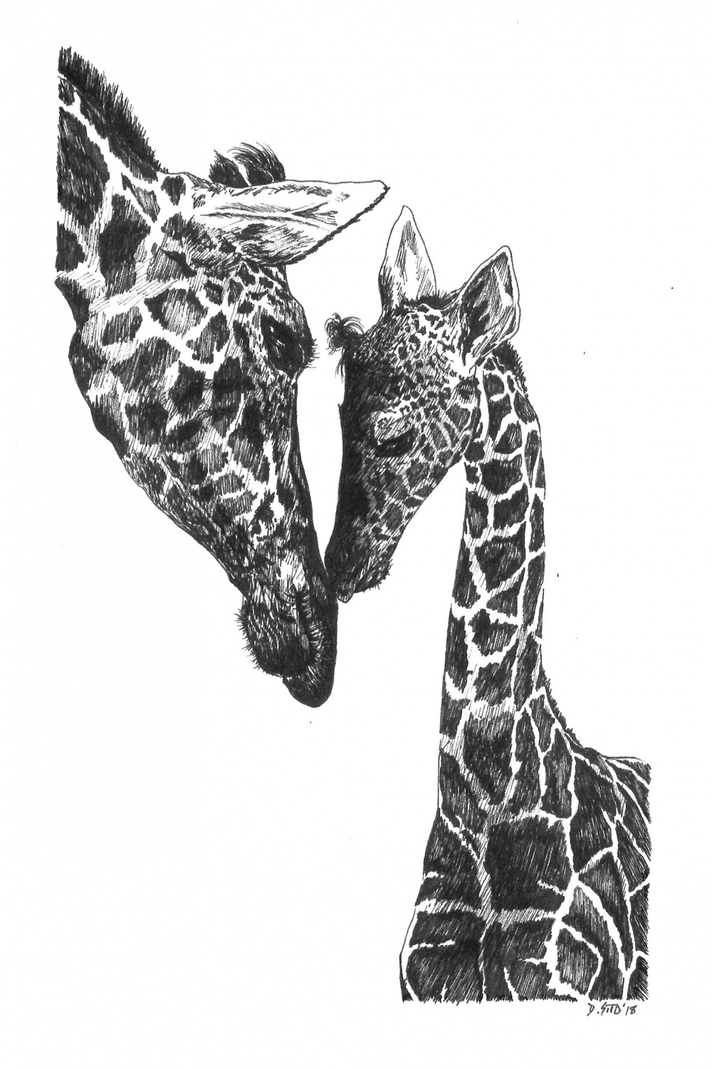 Giraffe Love - Original Contemporary Art Prints by Tartan Zebra
