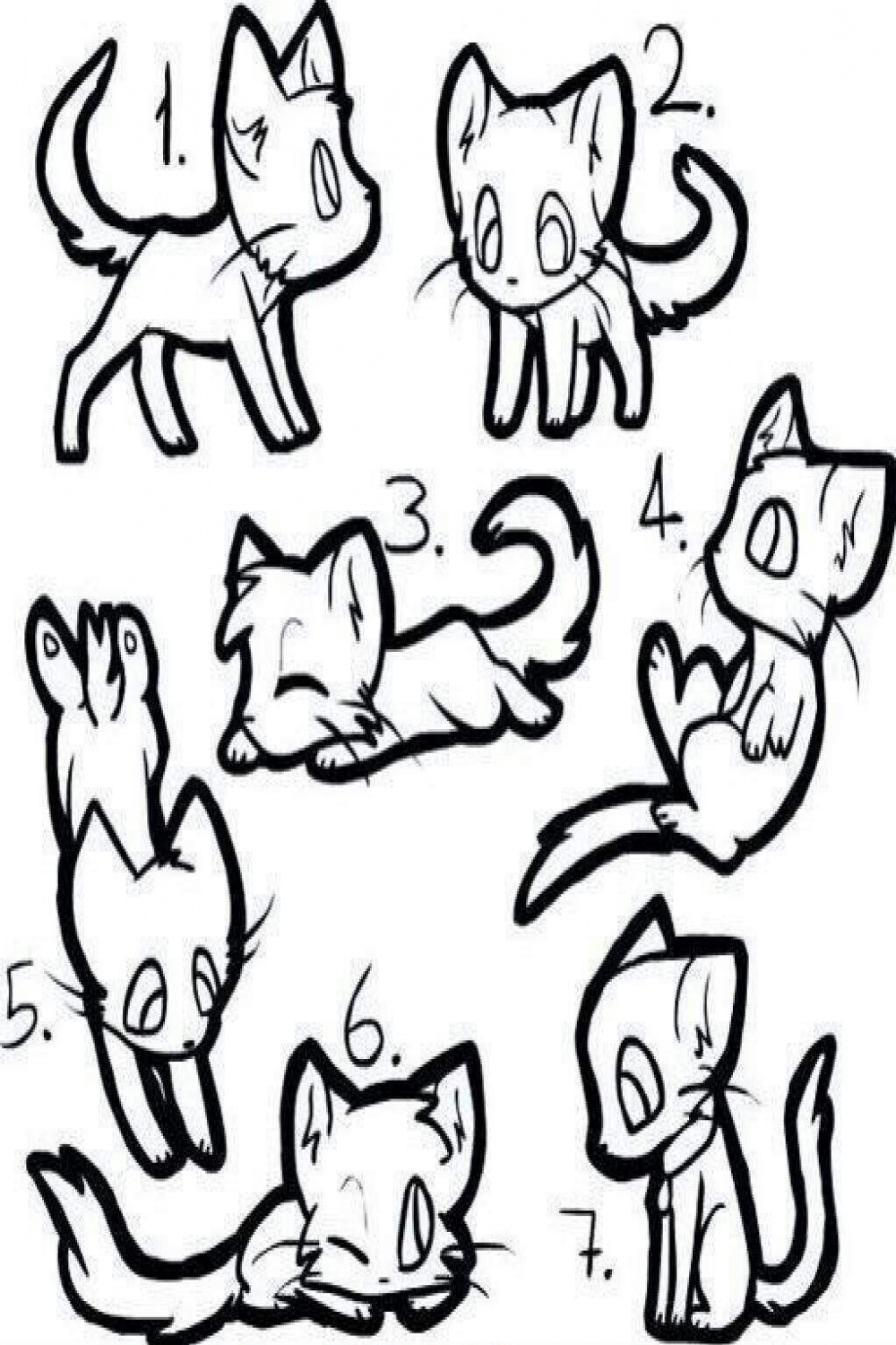 Give me  members to draw as cats! (Template from Amino) : r/dreamsmp