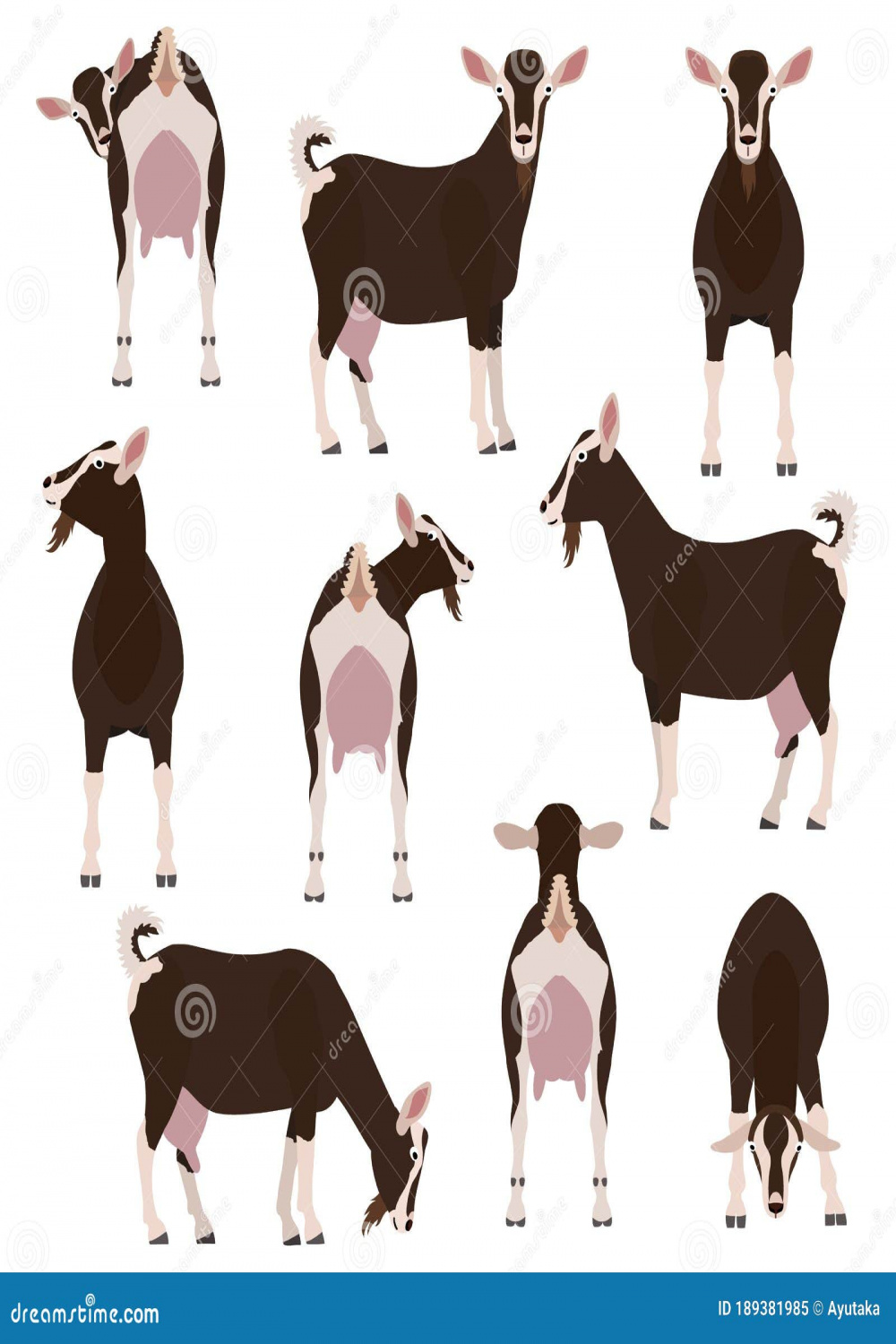 Goat Back Stock Illustrations –  Goat Back Stock Illustrations