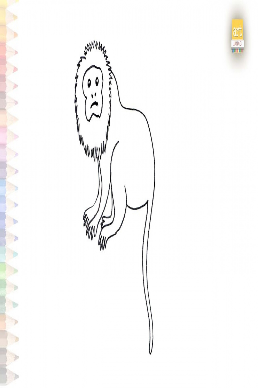 Golden Lion Tamarin outline sketch  easy drawing tutorials  How to draw  Golden Lion Tamarin simply