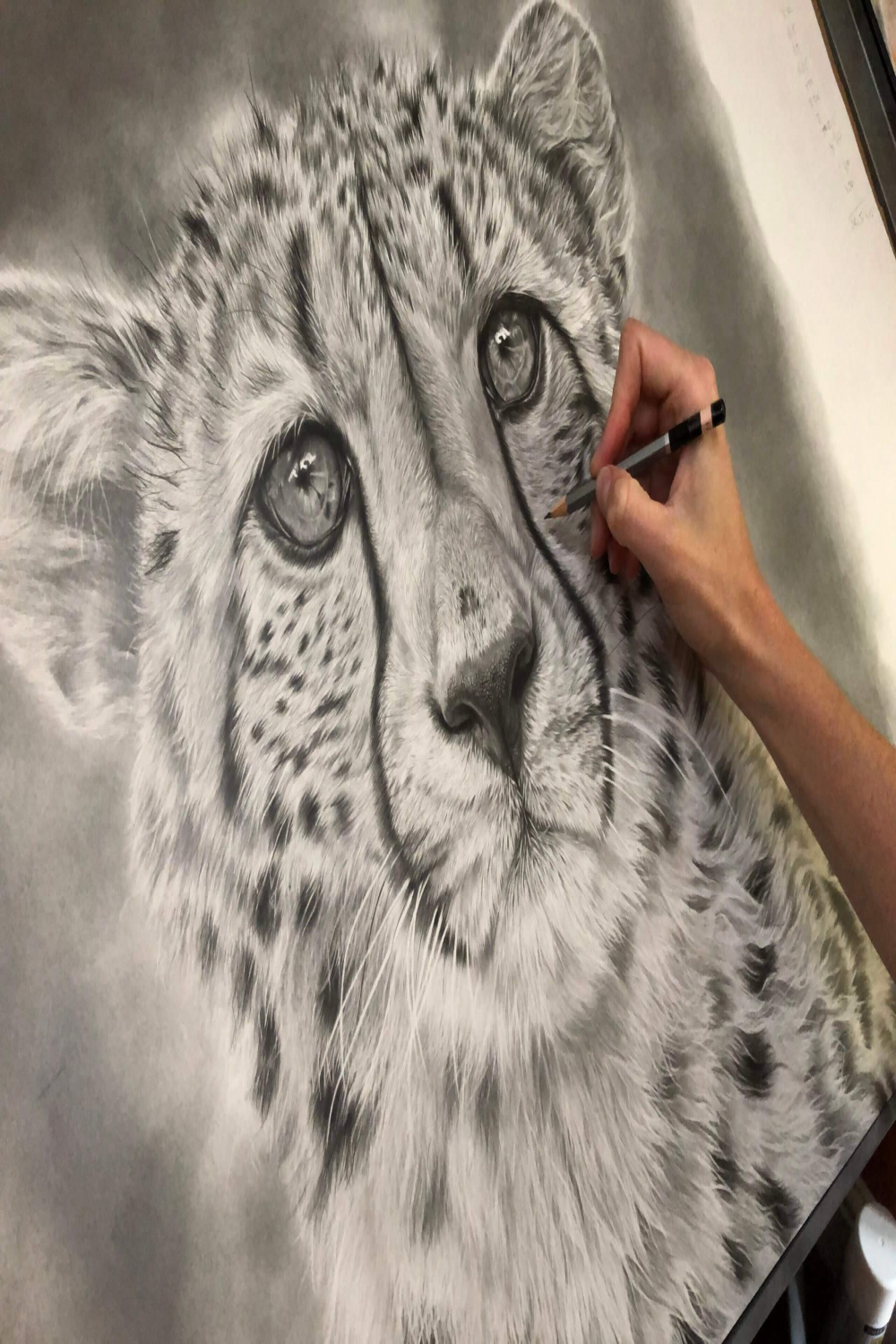 GONE IN A FLASH  CHEETAH PRINT (Limited Edition)