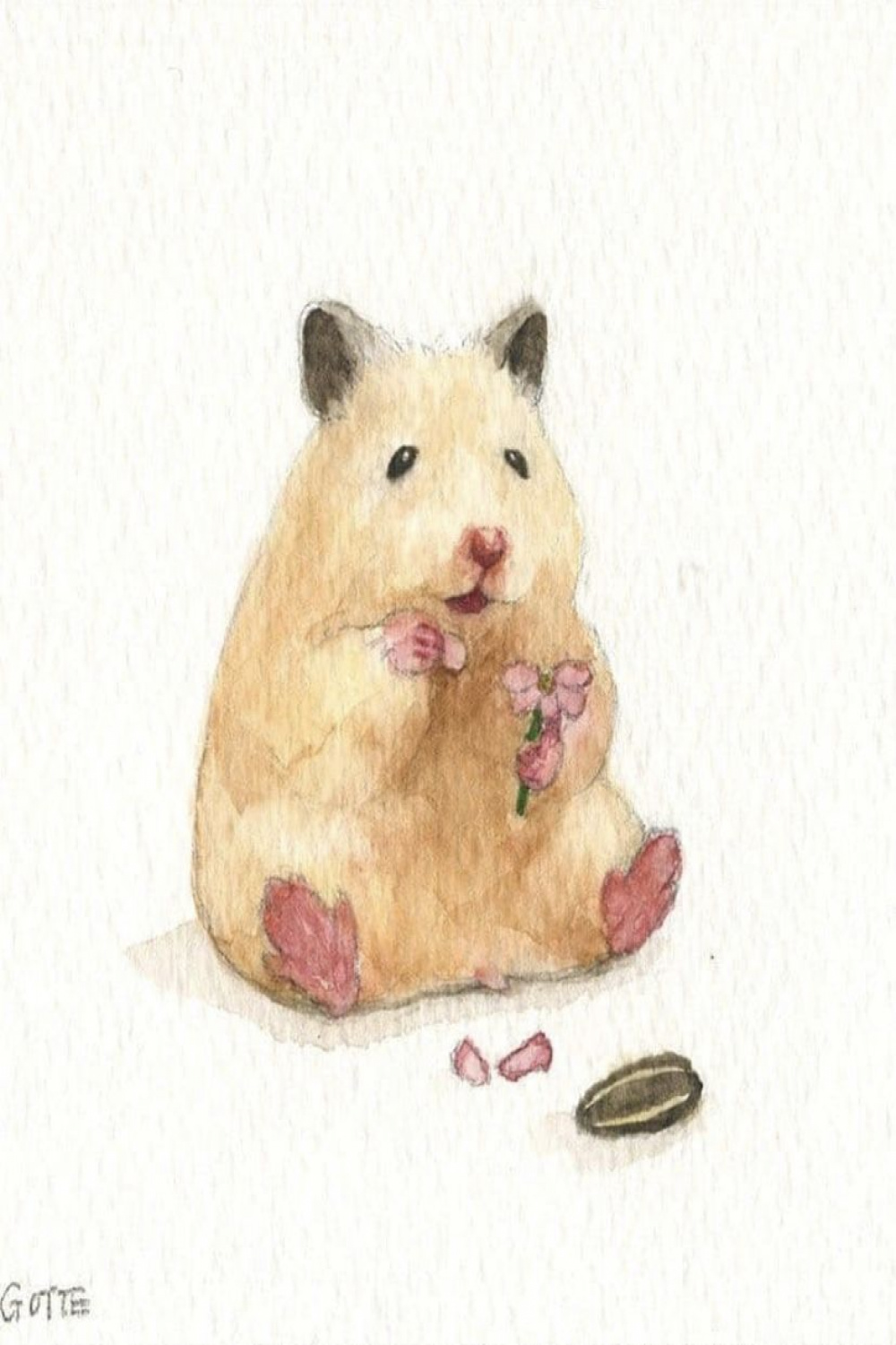 Gotte Hamster  Hamster cartoon, Cute animal drawings, Cute drawings