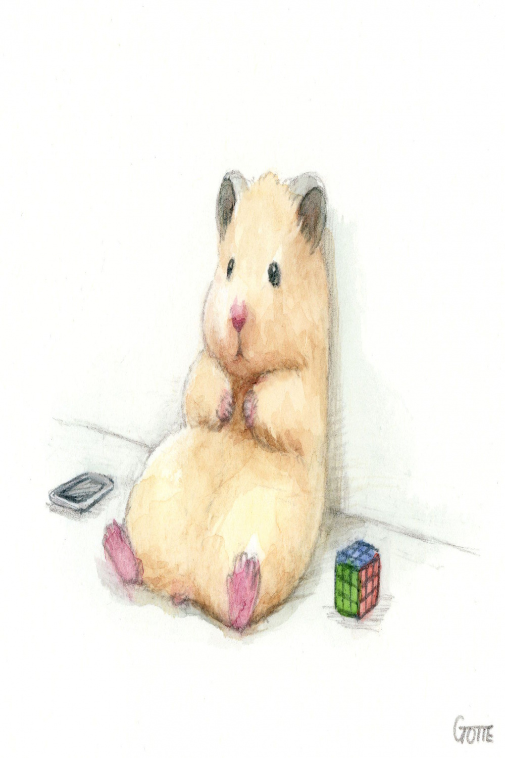 GOTTE🐹HamsterPainter on Twitter  Cute animal drawings, Cute