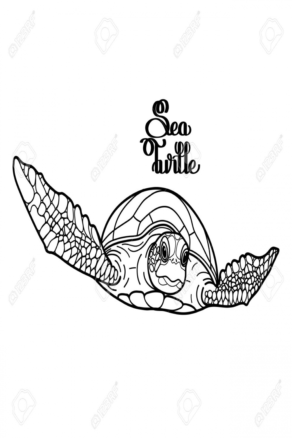 Graphic Hawksbill Sea Turtle Drawn In Line Art Style