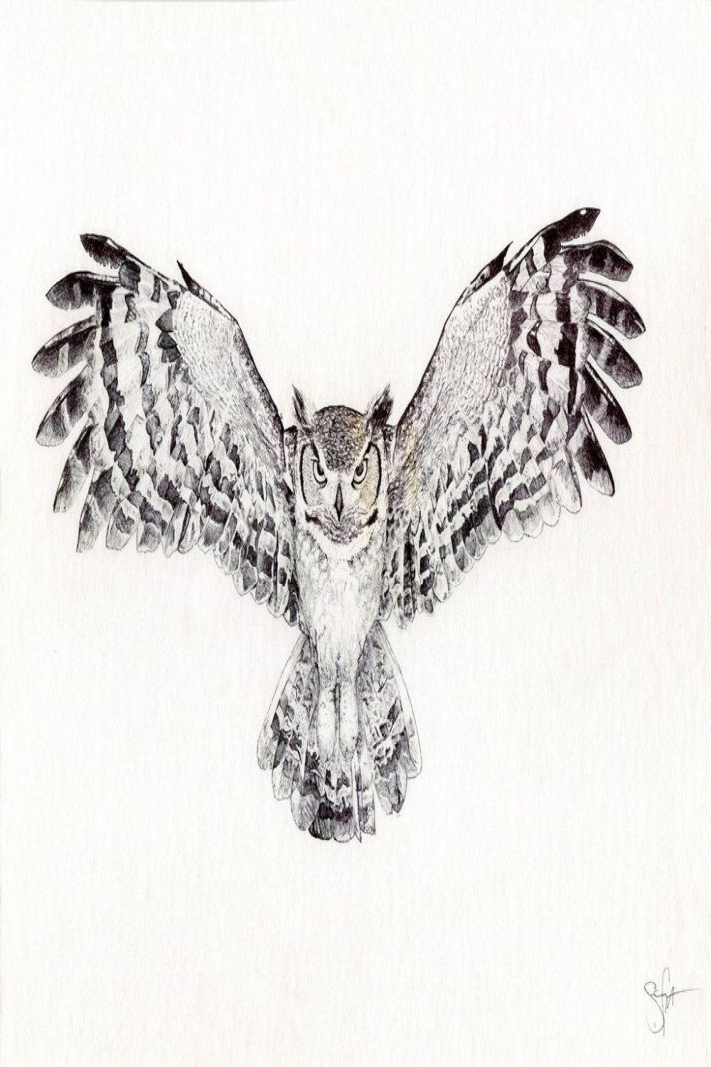 Great Horned Owl  Owl tattoo chest, Owl tattoo design, Owl tattoo