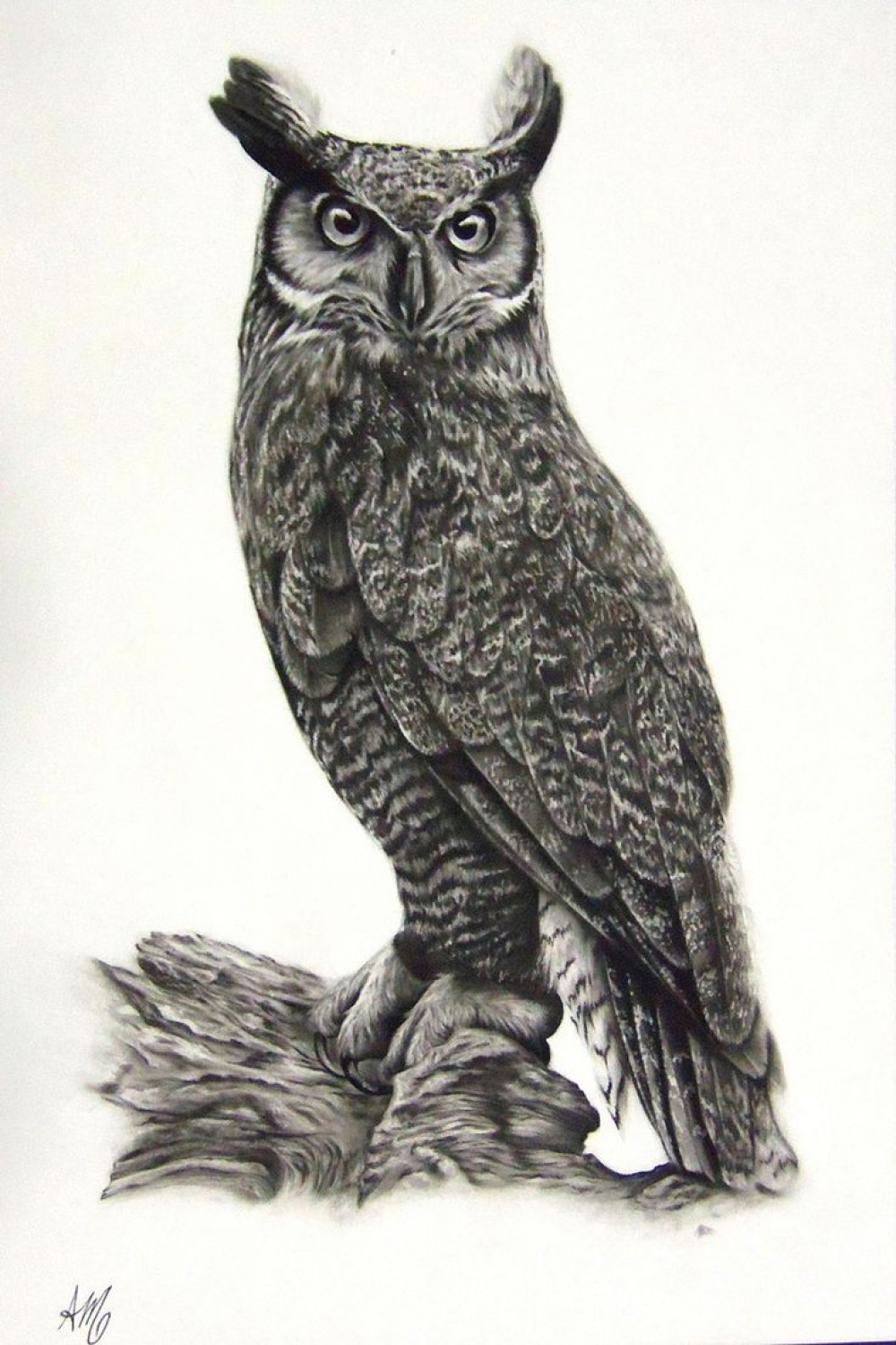 Great Horned Owl  Realistic owl tattoo, Great horned owl, Owl