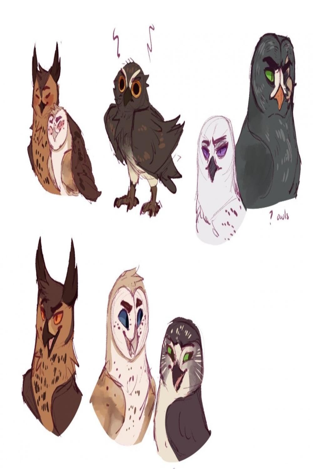 Guardians OC  Owls drawing, Furry art, Character art