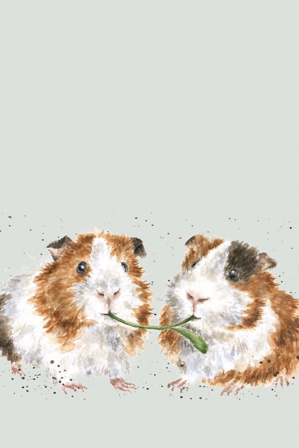 Guinea Pig Phone Wallpaper  Pig illustration, Cute guinea pigs