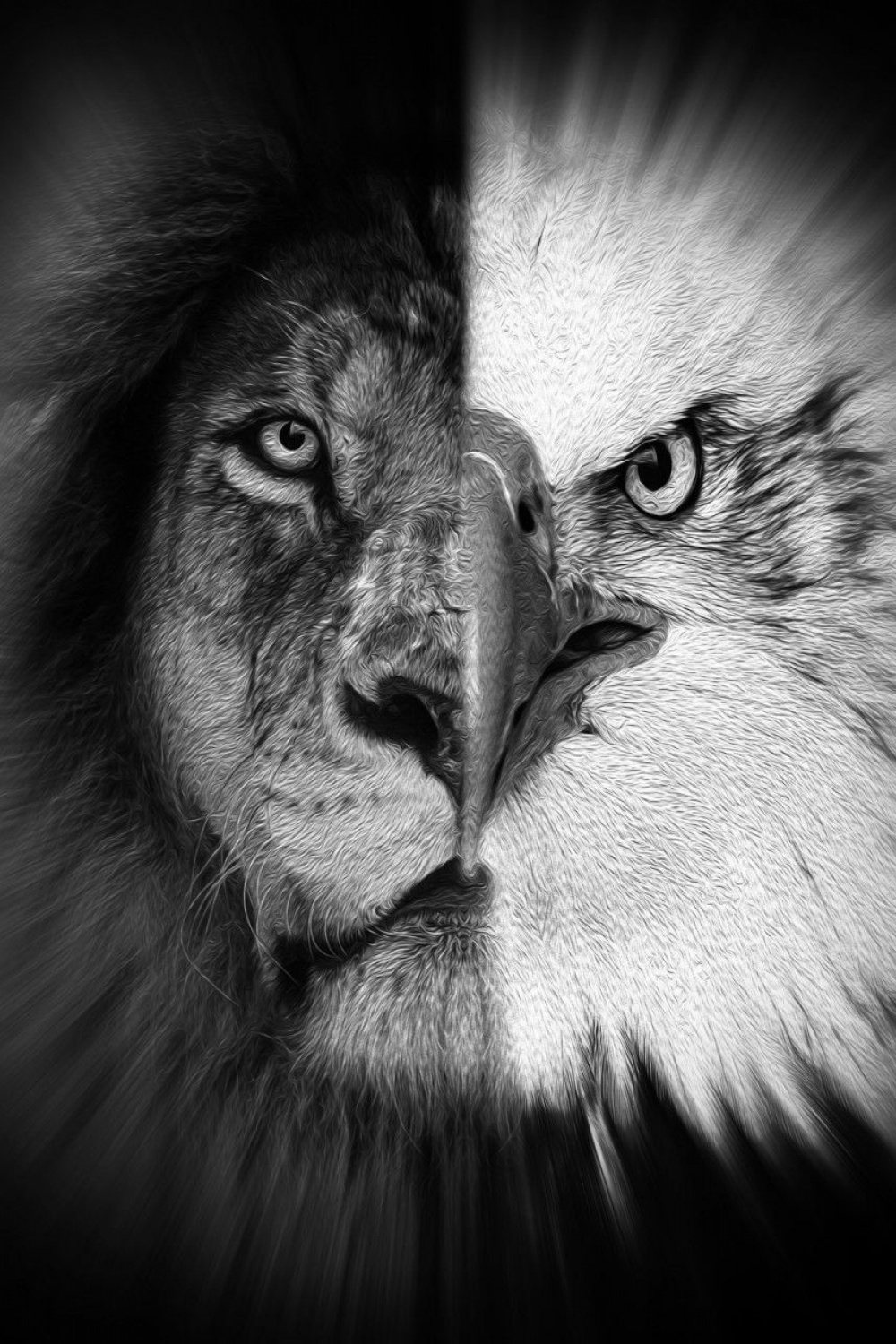 half lion half eagle b w