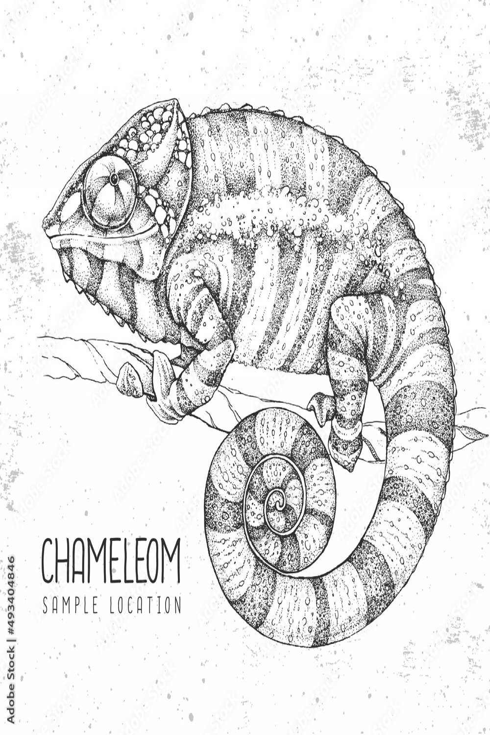 Hand drawing chameleon illustration. Graphic art