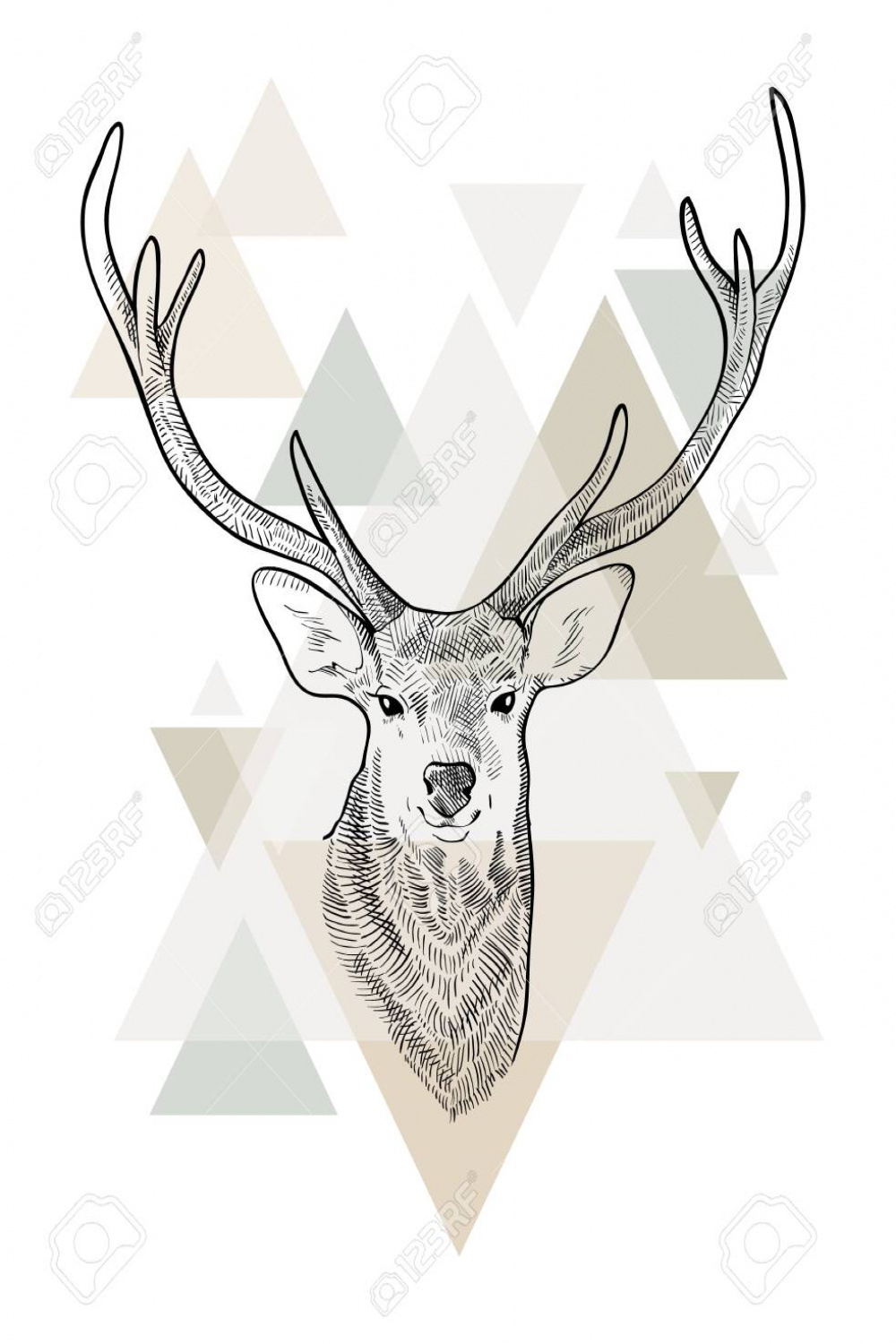 Hand Drawn Head Of Deer